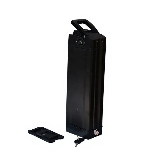 ALX021 Silver Fish Frame Mount — empty e-bike battery case