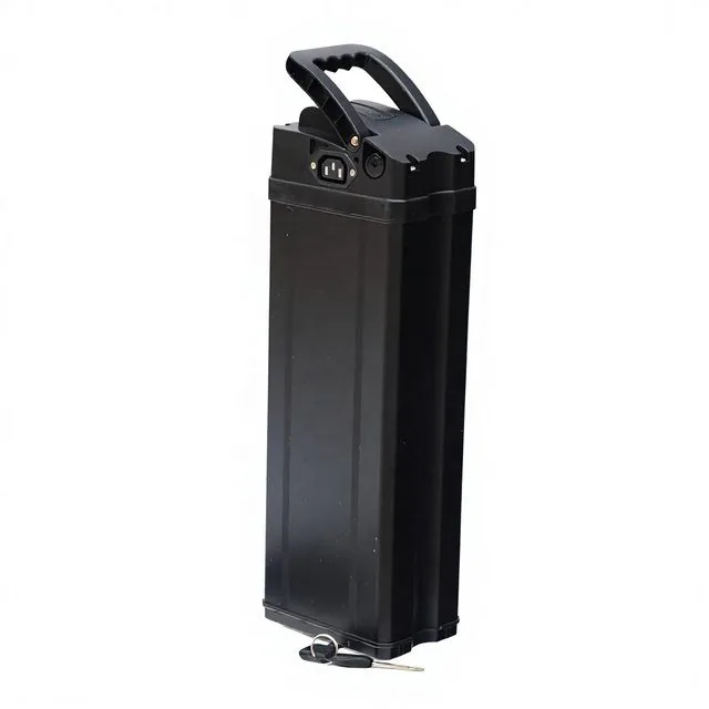 ALX061 Durable Structure Silver Fish — empty e-bike battery case